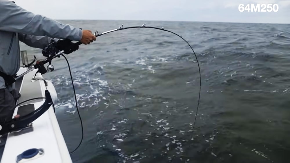 64M250は“曲げて獲る”ロッド。6：4調子のクッション性で繊細な仕掛けを守りつつ、太ハリスにも対応できる。