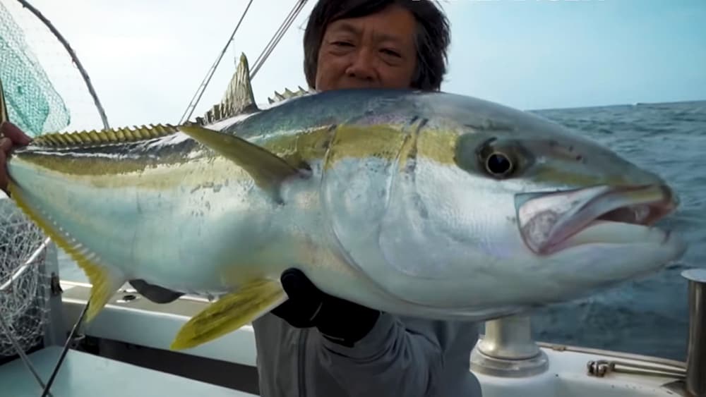 大型魚が水面に浮いた瞬間の感動を味わってほしい。