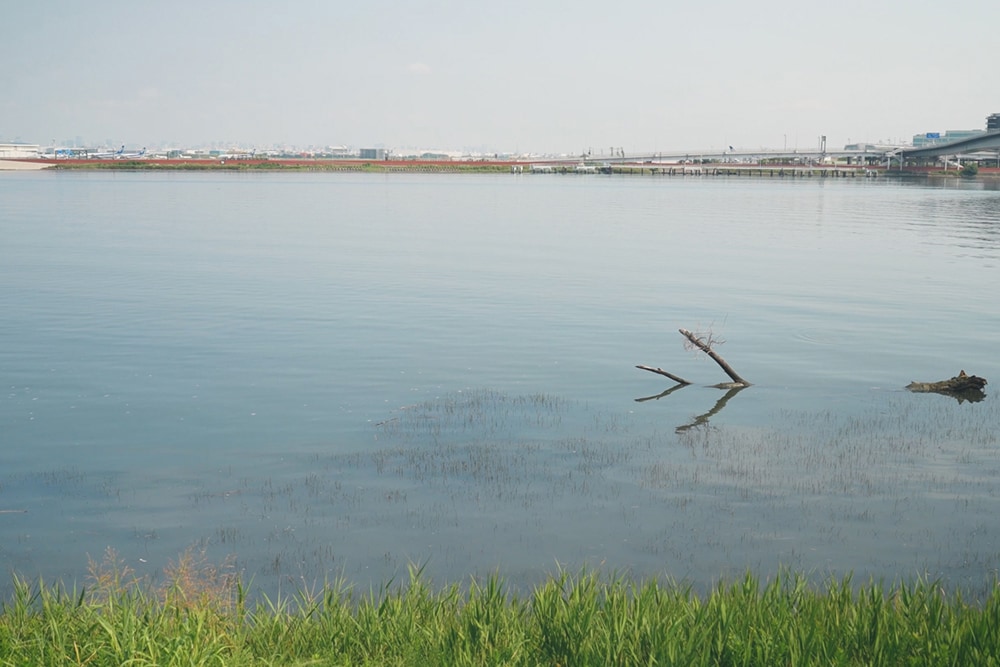 年々人気の高まる東京湾のクロダイゲーム。今回は夏の時期に実釣ロケを行った。