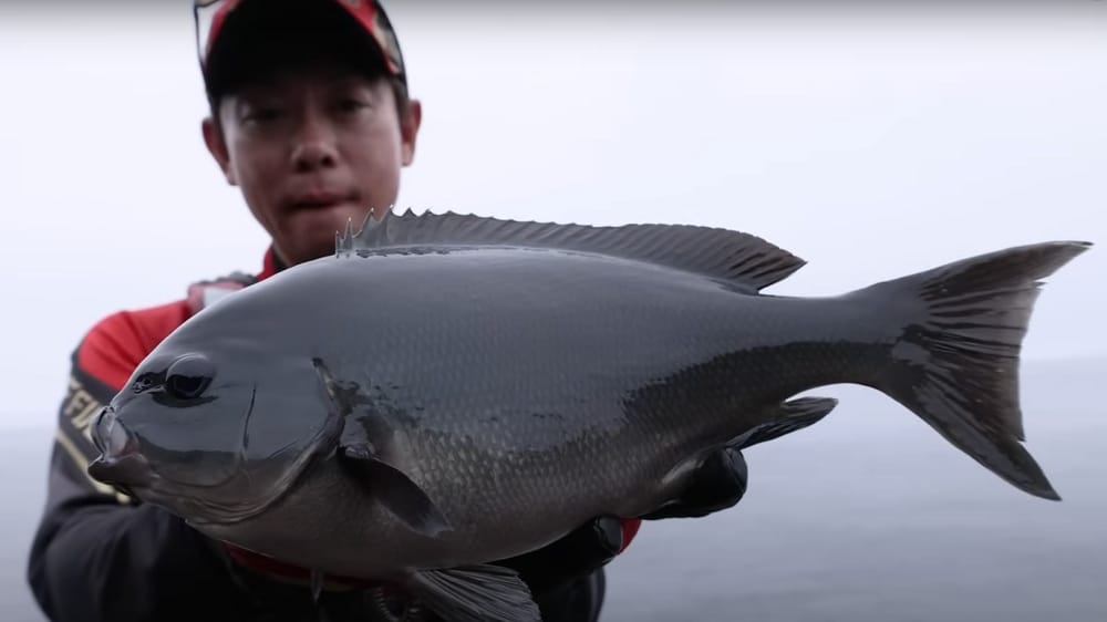 良型をリズムよく釣るというハイドロスコープの特徴が活かされた連発劇だった。