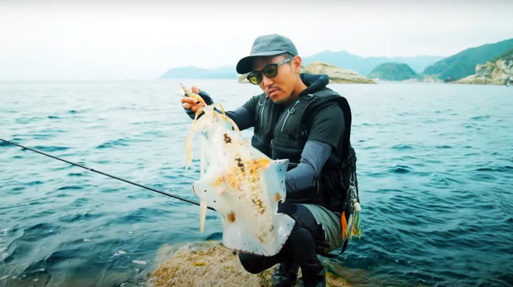 ホームである伊豆半島の磯を本気で挑み、デカイカ連発！　芝賢