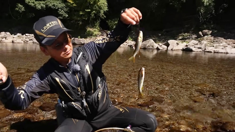 魚のいる場所で掛かる状態をキープすれば掛かる。「よう引くわ、富田の鮎」