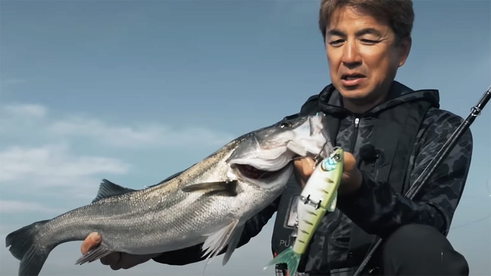 山陰の中海。ビッグベイトシーバスの西の代表エリア。シビアな難しい状況であったが、しっかりと結果を残した。 山陰の中海。ビッグベイトシーバスの西の代表エリア。シビアな難しい状況であったが、しっかりと結果を残した。