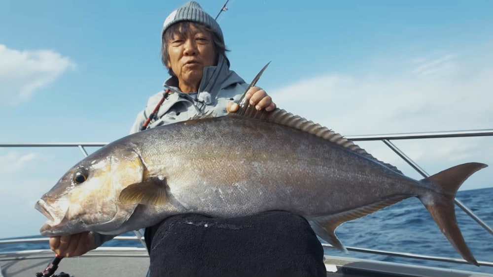 水深90m以深から巻き上げた大型のヒレナガカンパチ。屋久島ならでは。 水深90m以深から巻き上げた大型のヒレナガカンパチ。屋久島ならでは。