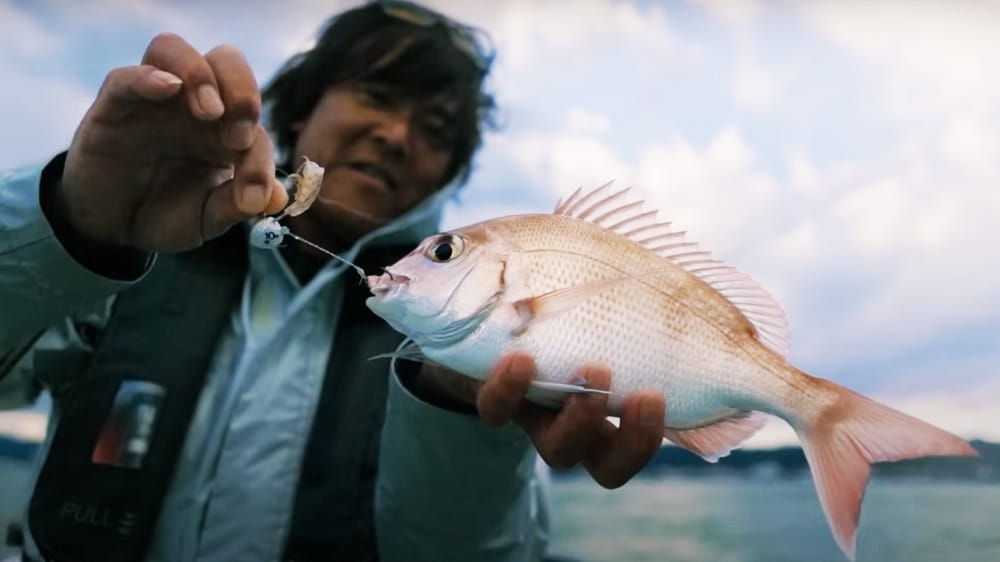 瀬戸内特有のボトムからテンヤを跳ねさせる攻めで鈴木さんがキャッチ。「完全にベタ底でした」 瀬戸内特有のボトムからテンヤを跳ねさせる攻めで鈴木さんがキャッチ。「完全にベタ底でした」