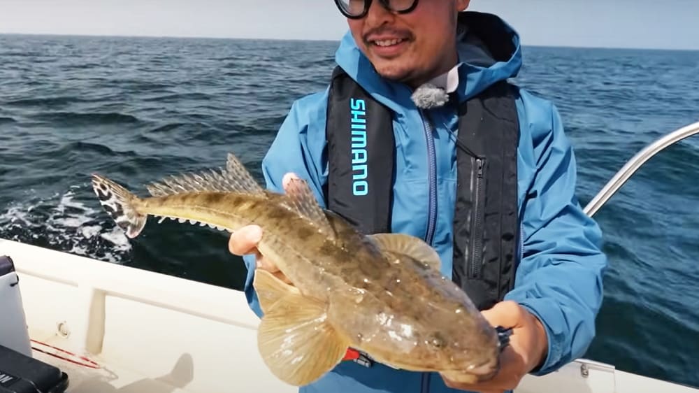 角井さんの東京湾での初マゴチ。底から50㎝を意識してトレースすると反応があった。 角井さんの東京湾での初マゴチ。底から50㎝を意識してトレースすると反応があった。