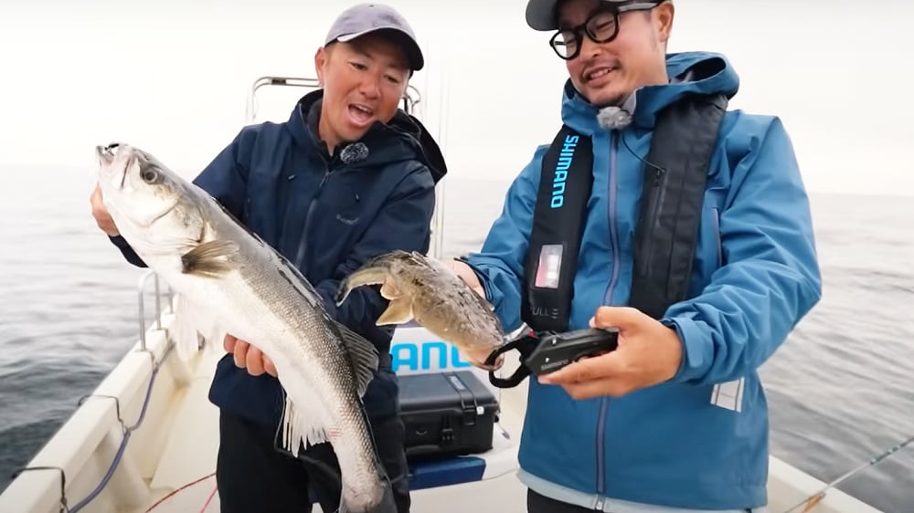 同じポイントで角井さんがマゴチ、家田さんがシーバスとダブルヒット。 同じポイントで角井さんがマゴチ、家田さんがシーバスとダブルヒット。