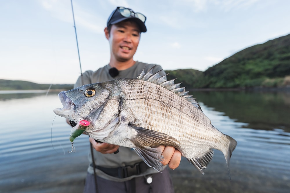 グッドサイズにも出会えて満足の釣果に。ルアーの強みを存分に活かせた釣行であった。 グッドサイズにも出会えて満足の釣果に。ルアーの強みを存分に活かせた釣行であった。