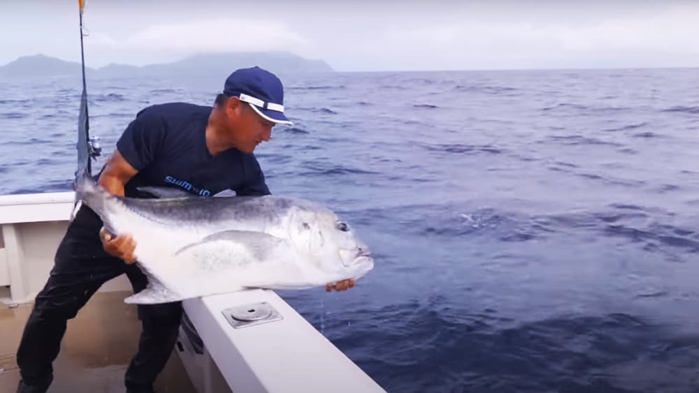 スクリュードライブ180FでキャッチしたGTは、福井さんにとって901匹目となる魚だった。