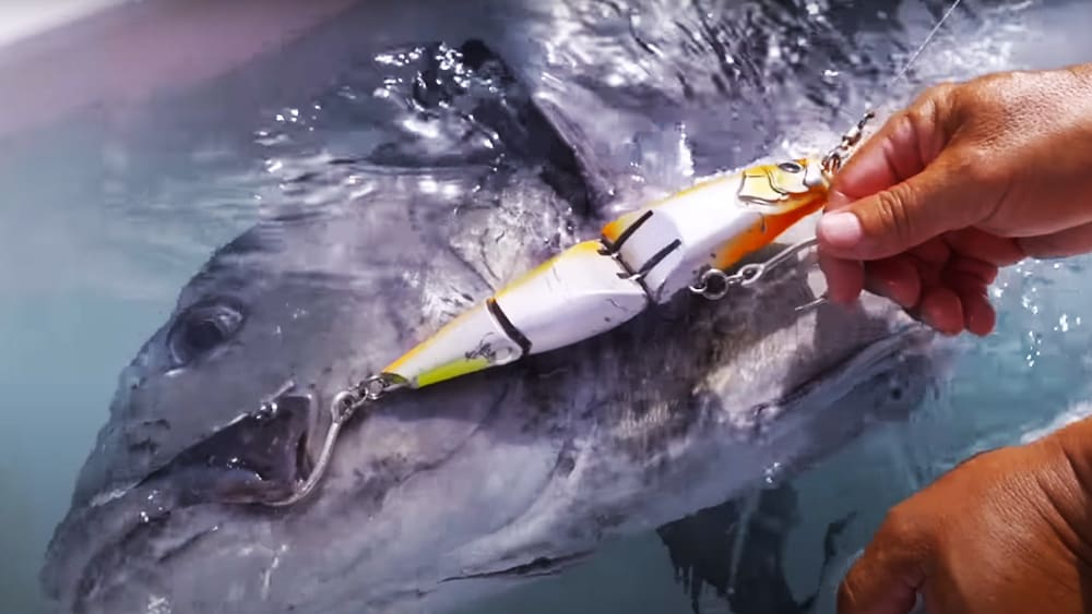 ジョイントビッグベイトの常識を覆す。「オシア アーマジョイント220F」のトカラ実戦投入