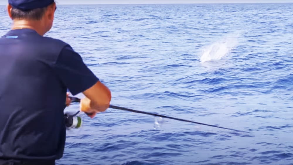 ライブベイトのように泳ぐアーマジョイントに、水面を激しく割って出てきたGT。