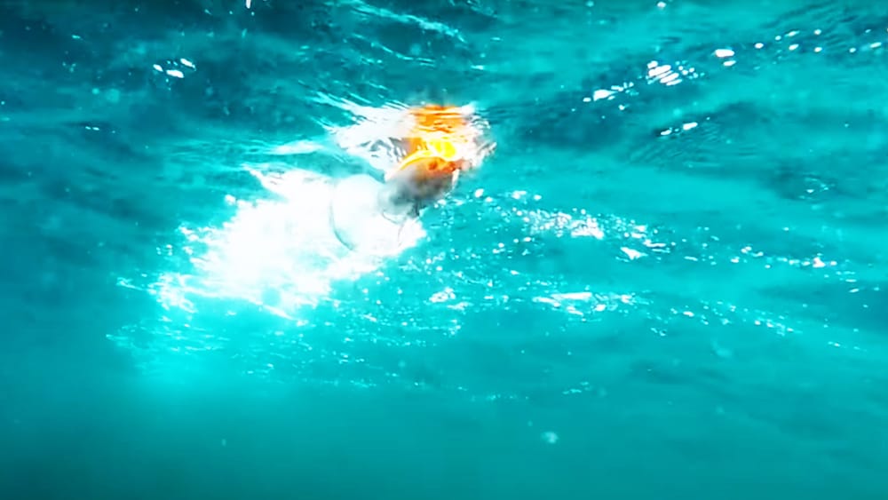 プロップフィンがしっかりと海面を捉え、泡を引き、飛沫を上げ、サウンドを奏でながらアクションする。