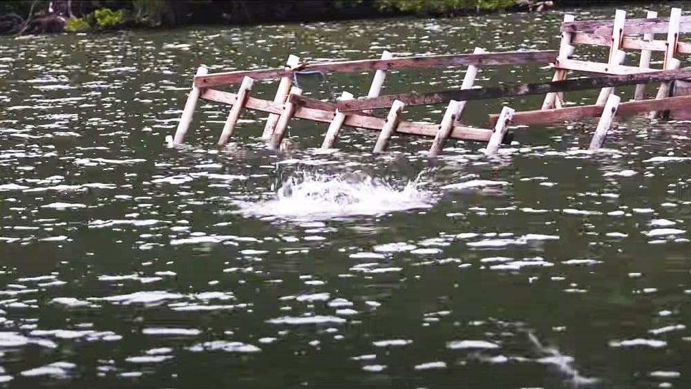 ストラクチャーを攻めてヒット。反転して住処に戻る魚を止めることのできるロッドパワーで備える。