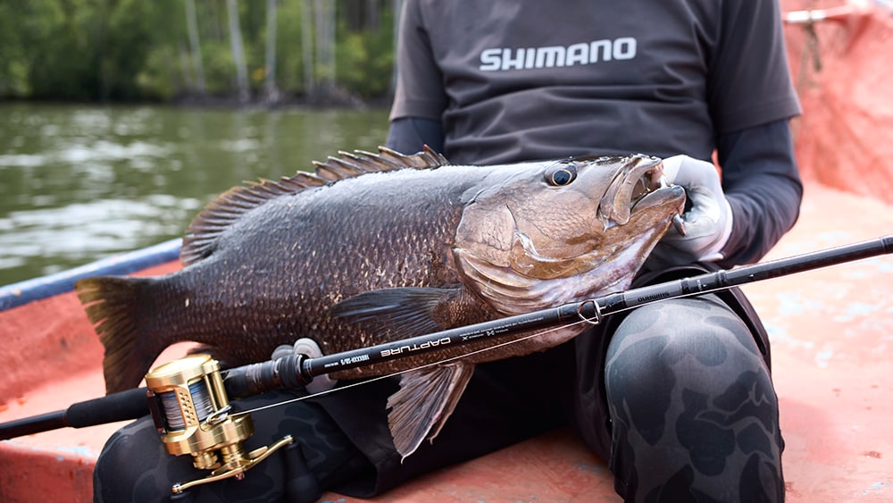 「ドラグとバットパワーで持ちこたえて獲ったパプアンブラックバス。キャプチャーだからこそ獲れた魚」