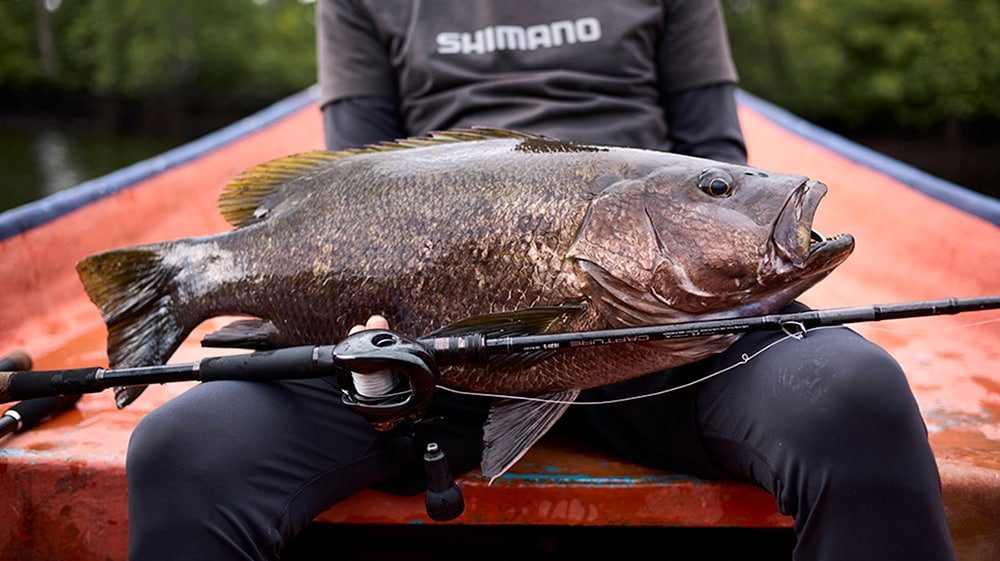 世界の怪魚を求めて。キャプチャー遠征編　奥田学×西パプアの淡水最強の魚