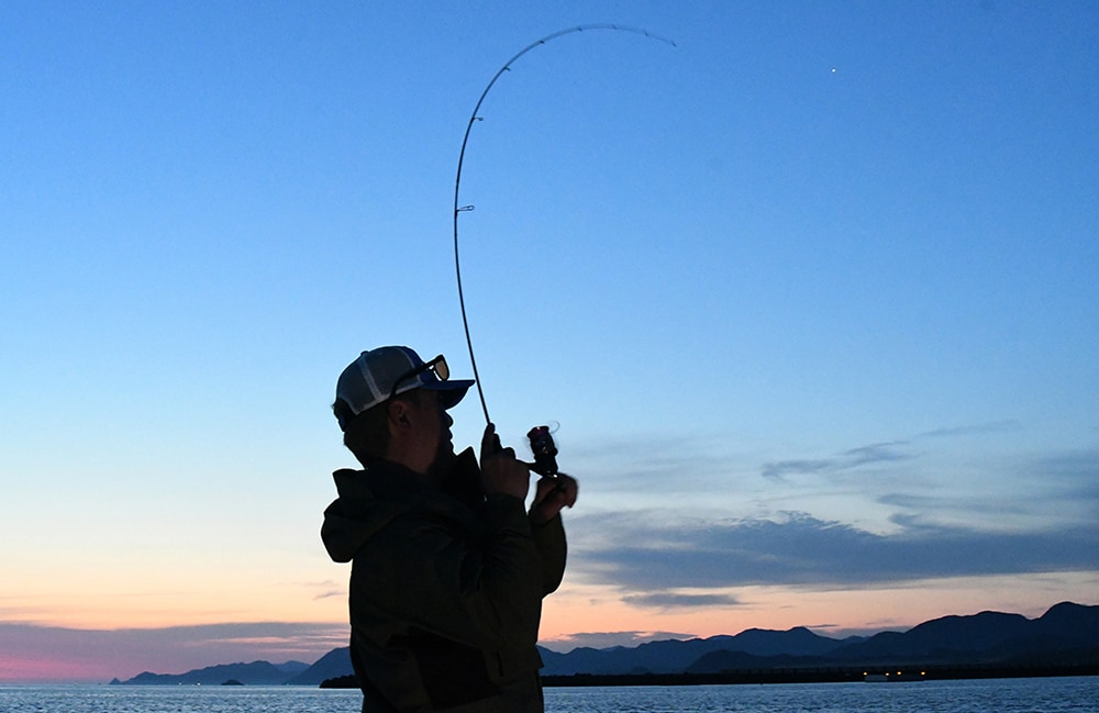 次々と良型がヒットし、ロッドが美しい弧を描いた 次々と良型がヒットし、ロッドが美しい弧を描いた
