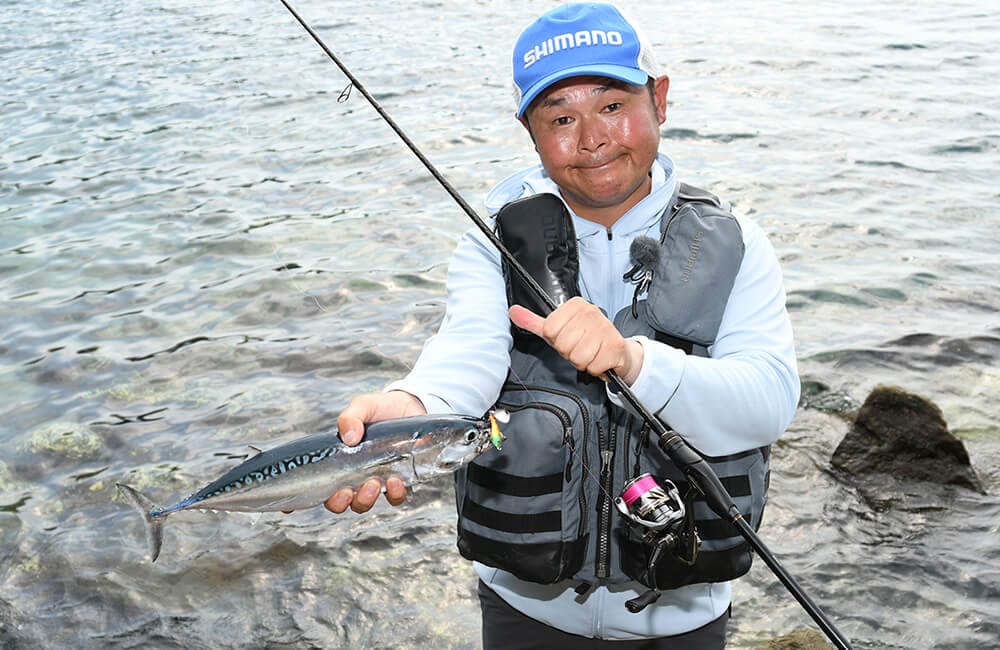 実釣ではカンパチの幼魚やスマガツオもキャッチ。ソアレXRは青物特有の強烈な引きにも安心して対応できる 実釣ではカンパチの幼魚やスマガツオもキャッチ。ソアレXRは青物特有の強烈な引きにも安心して対応できる