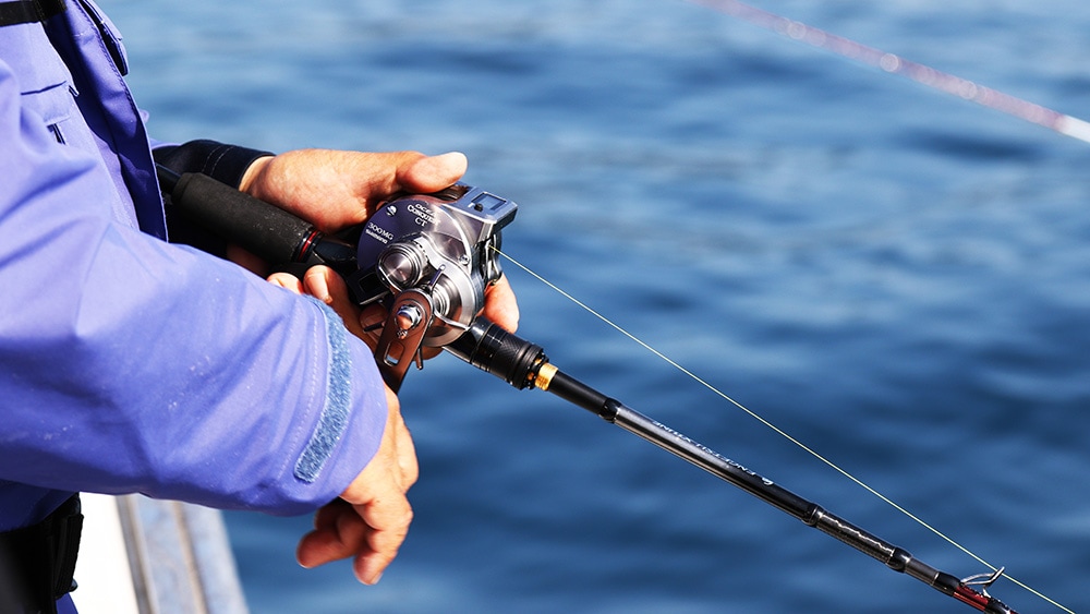 赤澤さんが考える鯛ラバリールの条件