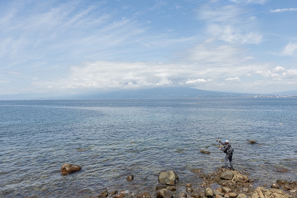黒潮の影響を受ける沼津エリアは年間を通して魚影の濃いエリア。実釣した8月はベイトが小さい傾向にあり弓角が効果的となる。 黒潮の影響を受ける沼津エリアは年間を通して魚影の濃いエリア。実釣した8月はベイトが小さい傾向にあり弓角が効果的となる。