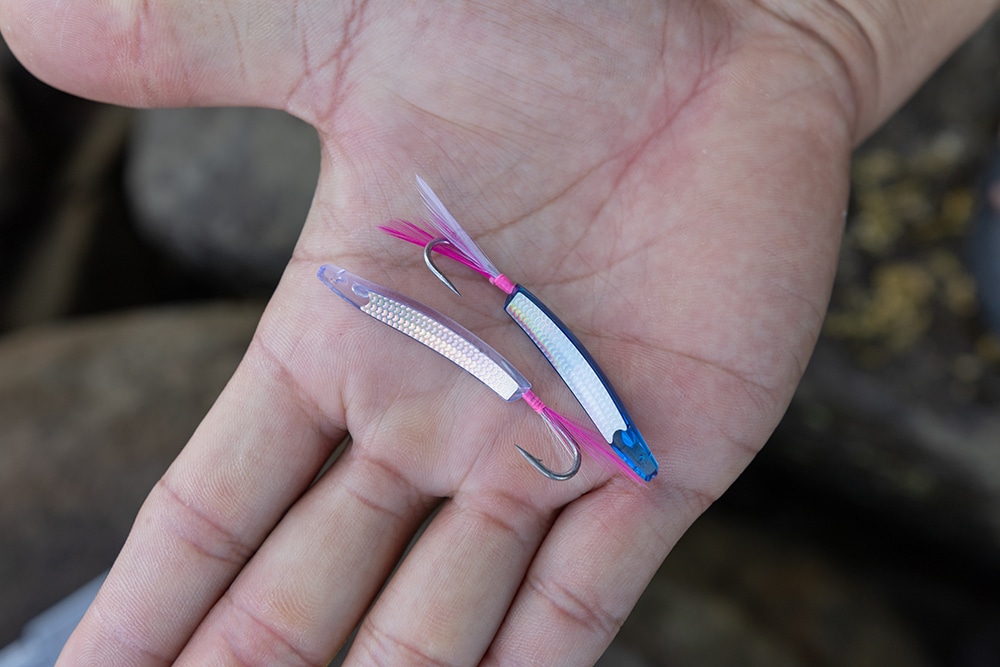 使用した弓角。フラッシングを伴ってクルクルと周りターゲットを誘う。 使用した弓角。フラッシングを伴ってクルクルと周りターゲットを誘う。