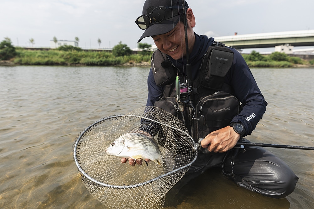 狙い通りにヒットさせたキビレ。曇天から太陽光が差し始めたタイミングで喰い気が高まった。 狙い通りにヒットさせたキビレ。曇天から太陽光が差し始めたタイミングで喰い気が高まった。