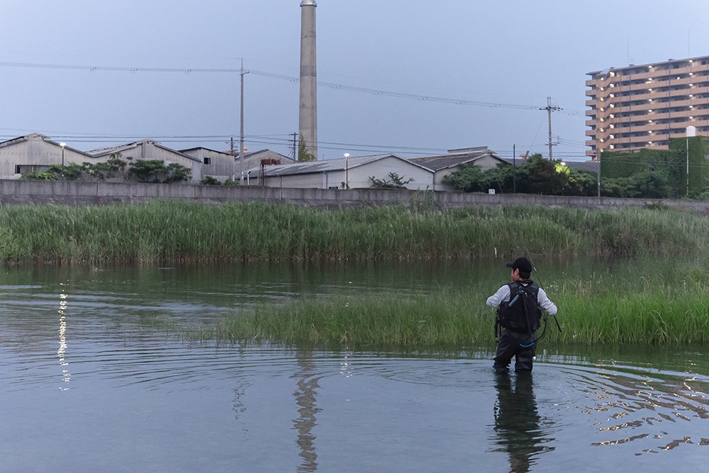 雨の影響で変化があることに期待してシーバスも狙った。「ディアルーナZM」は幅広いターゲットに高次元で対応してくれる。 雨の影響で変化があることに期待してシーバスも狙った。「ディアルーナZM」は幅広いターゲットに高次元で対応してくれる。