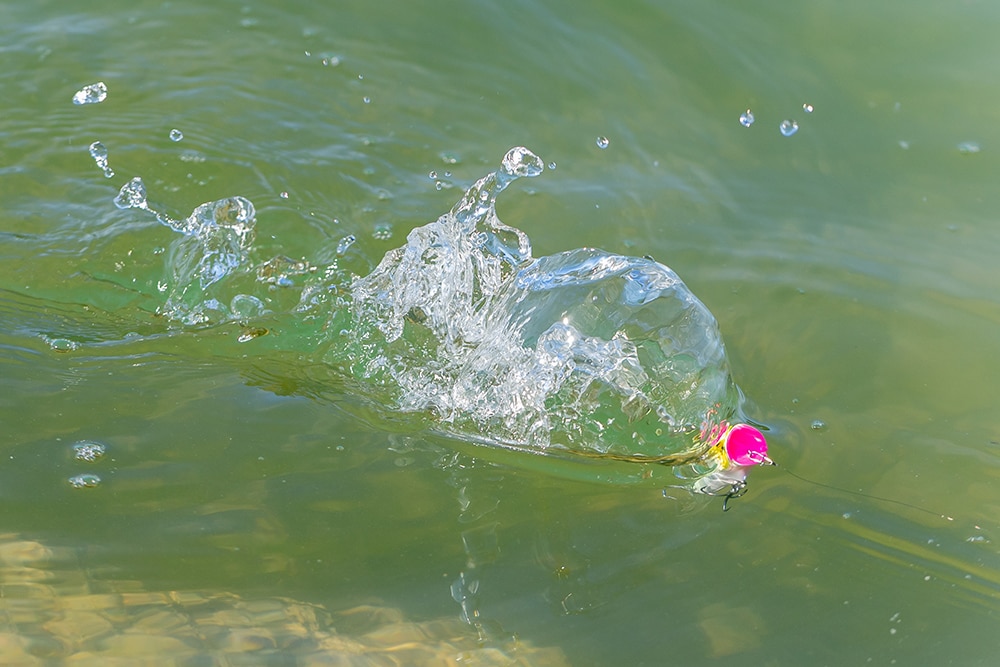 ドーム型のバブルとメリハリのあるポップ音でアピールする。広範囲をテンポよく探りたいときにも活躍する。