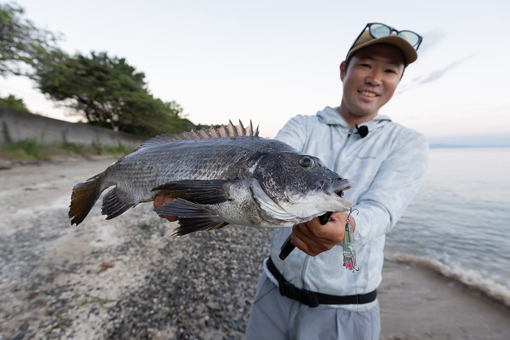 しつこくルアーに喰い付いてきたクロダイ。激しく力強い引きで楽しませてくれた。