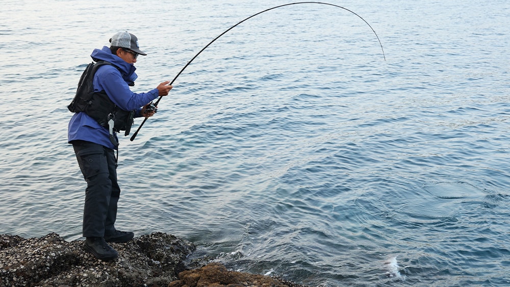 小魚を捕食するマダイはロックフィッシュゲームで釣れることが多い。ヒットルアーはエクスセンス サルベージソリッド85ES。