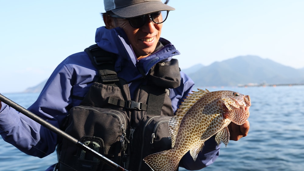 ハードロッカーエクスチューンS96MH+-3で、スイミング系ジグヘッドリグを操作し、オオモンハタをキャッチ。