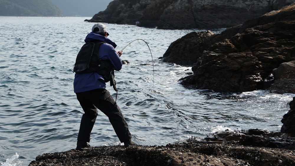 50cmに迫る大型のオオモンハタをキャッチ！