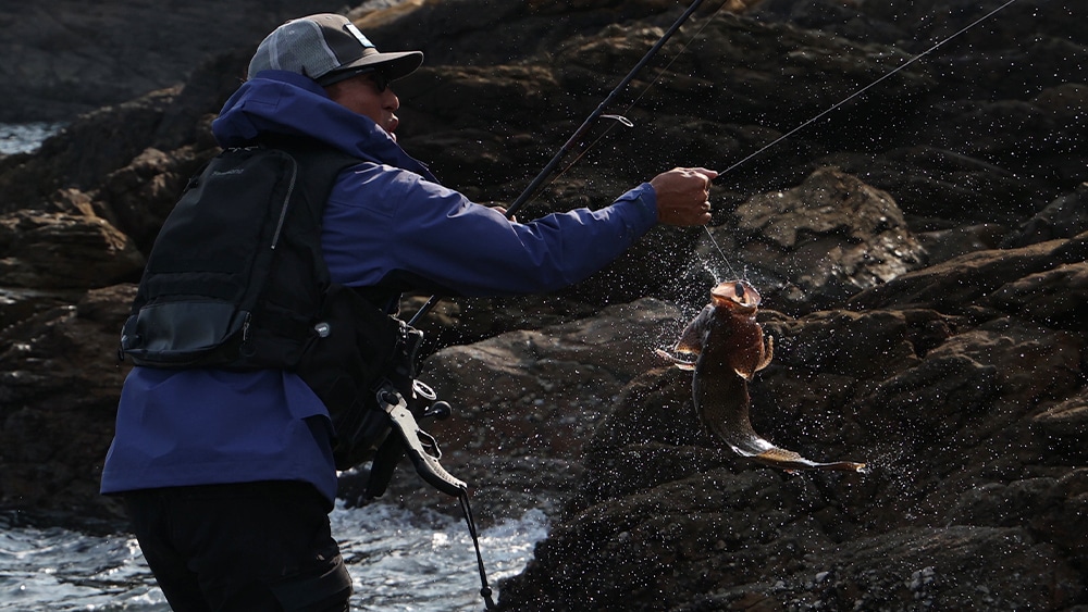 50cmに迫る大型のオオモンハタをキャッチ！