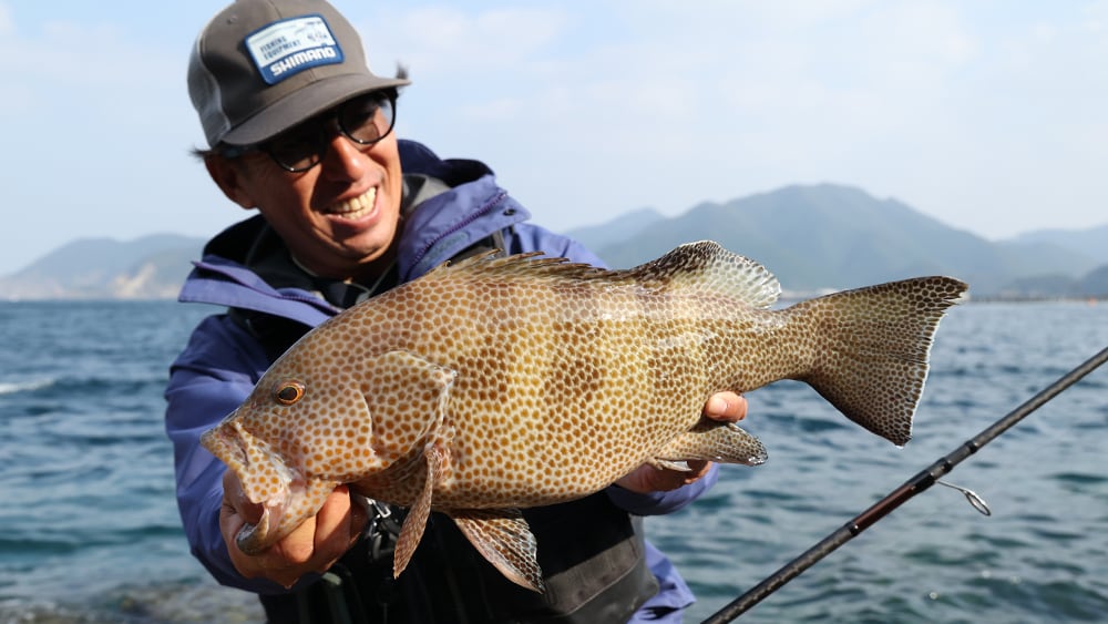 キビナゴの群れが通過した直後にヒットしたモンスター級のオオモンハタ。