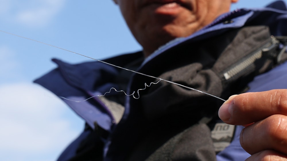 オオモンハタとの強烈なファイトを物語るリーダーの根ズレ。ギリギリのやり取りだった。