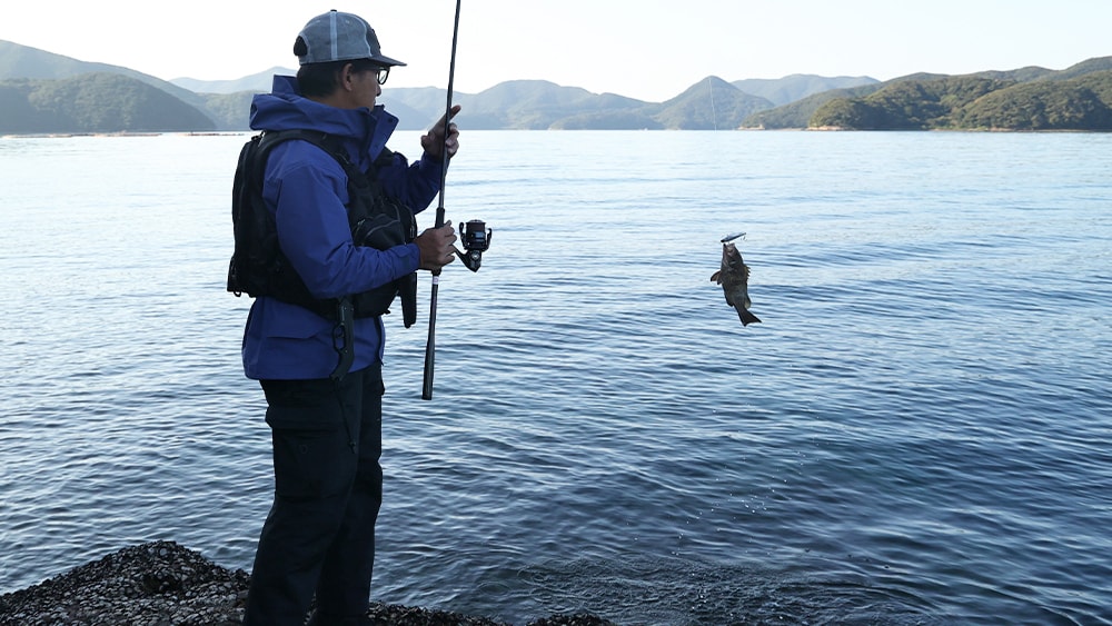 S83-93MHのズーム機能を活用しキャッチしたオオモンハタ。