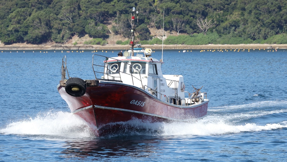 利用渡船：オアシス