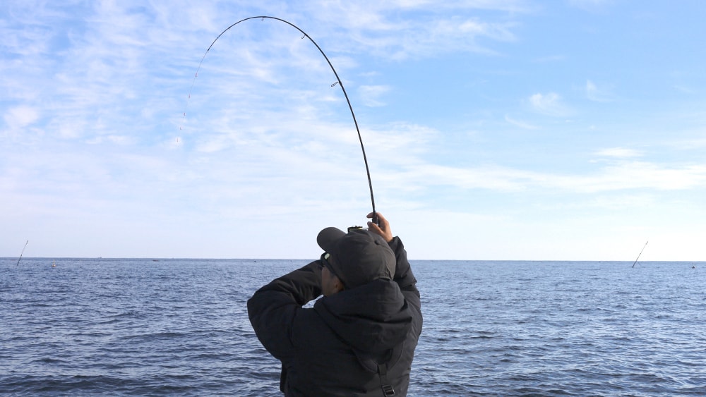 角井さんのセフィア エクスチューン ティップエギングS68ML-Sが大きく曲がる。