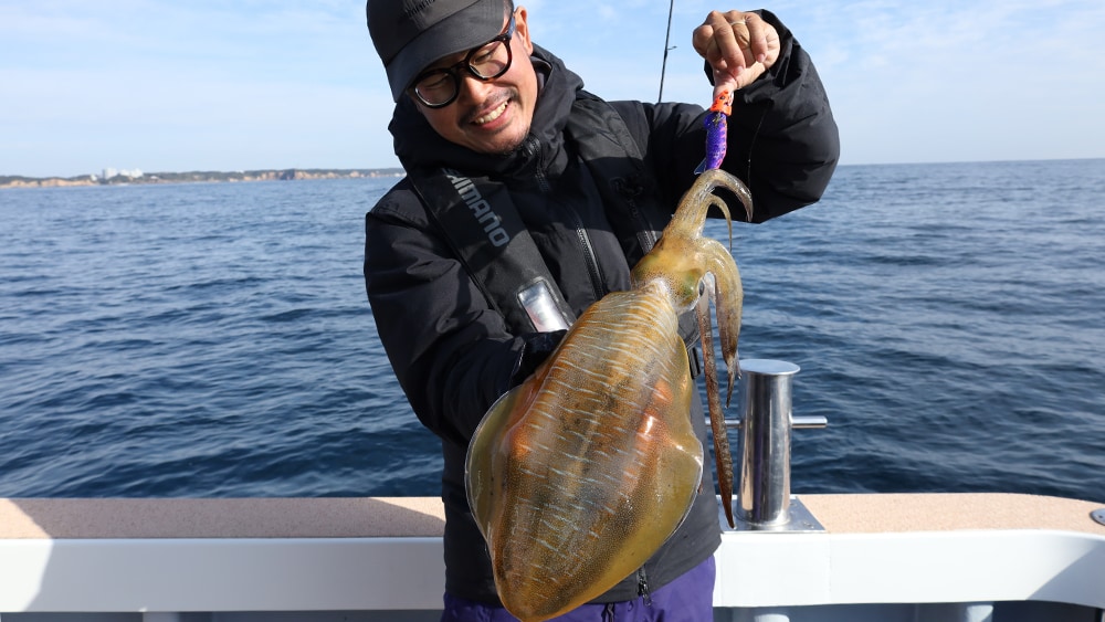 ヒットエギはアントラージュ3.0号＋シンカー15g。カラーはフルパープル。