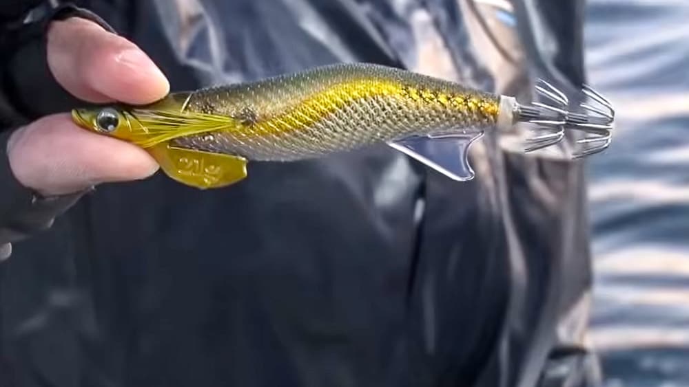 アントラージュ 3.0号/3.0号 フラッシュブースト