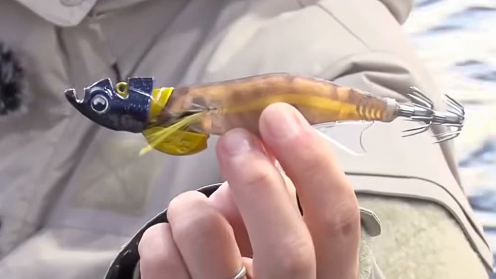 アントラージュ 3.0号/3.0号 フラッシュブースト