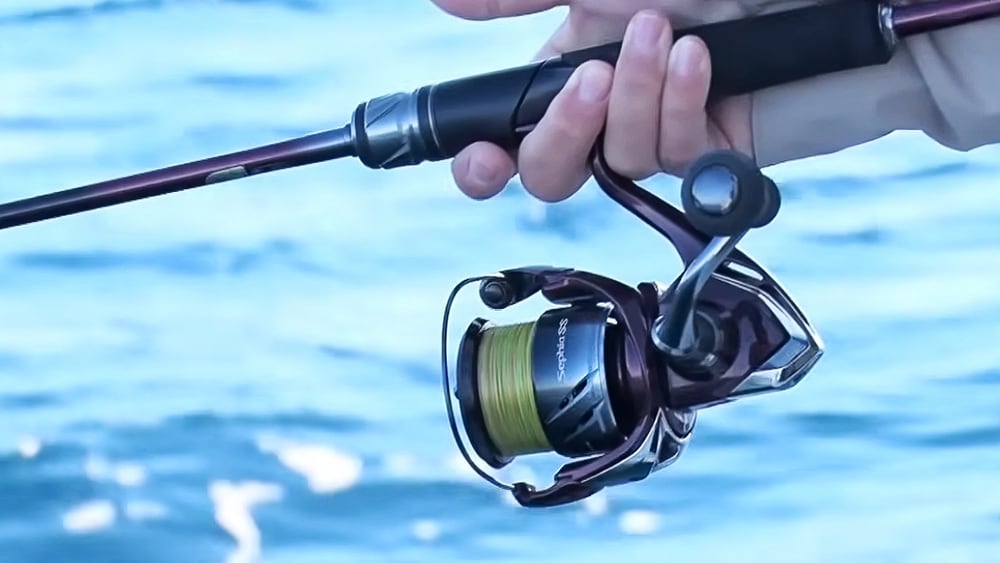 ティップエギングの基本の探り方