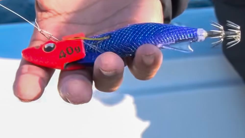 使用するのは、セフィア アントラージュ 3.0号。田辺沖で高実績のモデル。