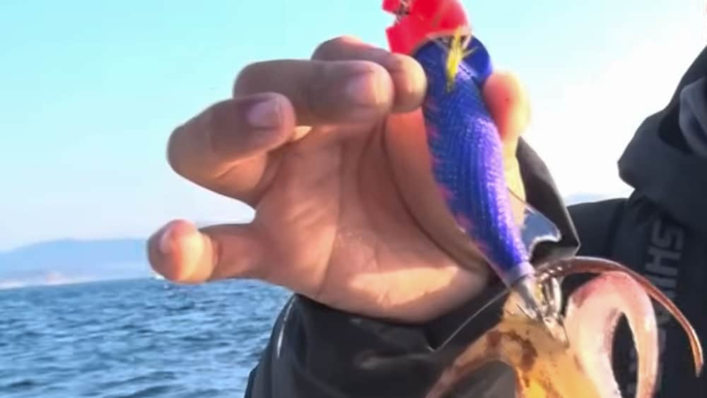 この日も良いサイズをヒットさせた角井さん。難しい状況の中、嬉しい釣果。