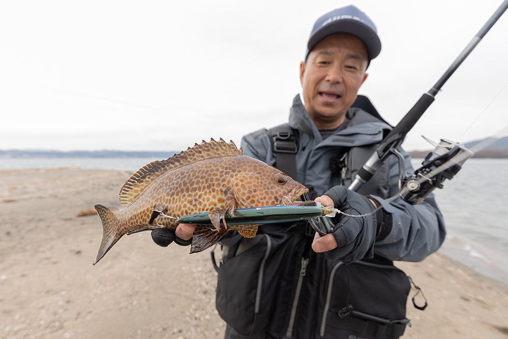 ミノーで狙い通りにオオモンハタをヒットさせた。魚の活性が低い状況で貴重な1匹だった。