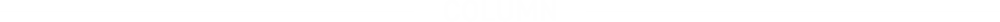 COLUMN