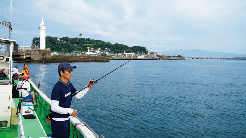 江ノ島と丹沢の山並みを背景にのんびり小づく。