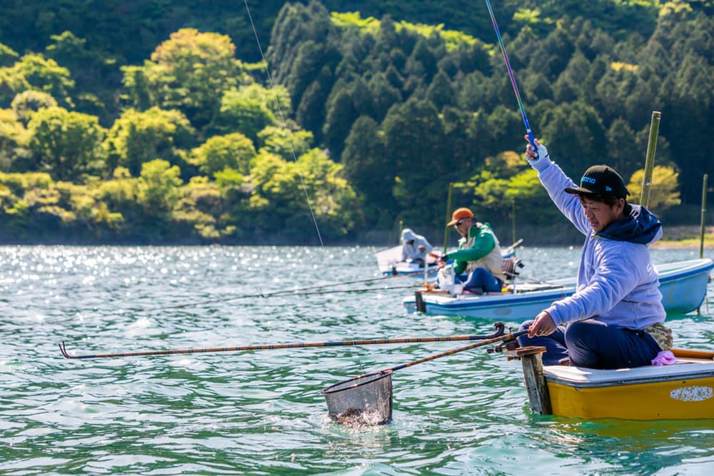 来るへら全てが丸々と太った40上…。休養十分な芦ノ湖の野武士が、次々と岡田の竿を曲げた