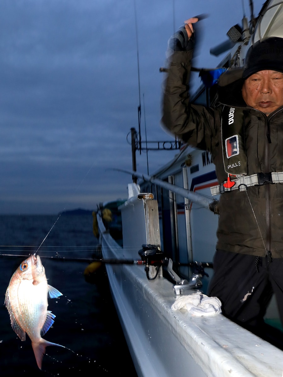 上野沖では、50〜60cmの真鯛も結構釣れるのだがこの日は30〜35cmのサイズが多かった。