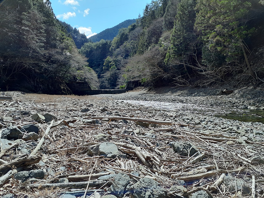 ここへの巻き道、良く見つけものです。一人で来ていたら、恐らく見つけること出来ずに引き返してました。