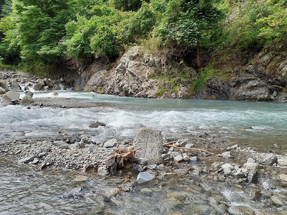 あちこちに流木が絡まり、川底にも点在、根掛かりとの根競べ。